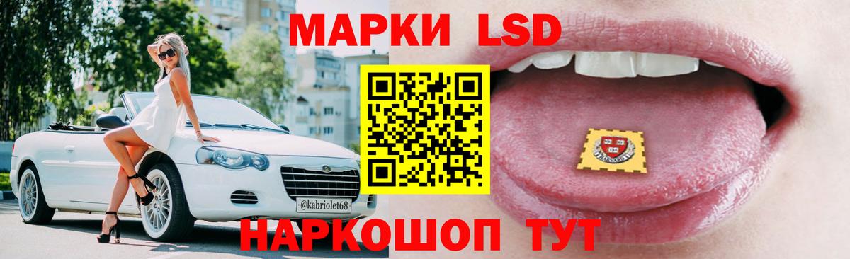 МЕФ Лыткарино