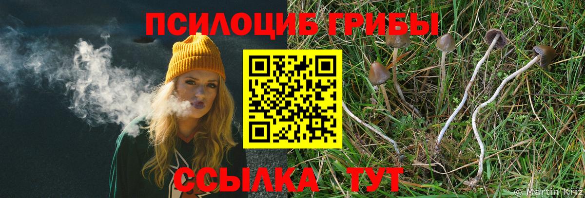 Галлюциногенные грибы ЛСД  Вход с VPN  Лыткарино 